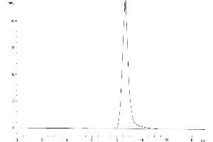 Size-exclusion chromatography-High Pressure Liquid Chromatography (SEC-HPLC) image for CD52 (CD52) (AA 25-36) protein (Fc Tag) (ABIN7274196)