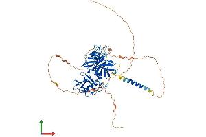 Protein Structure (PS) image for Transmembrane Protease, Serine 13 (TMPRSS13) (AA 1-586) protein (His tag) (ABIN7544577)