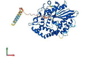 Protein Structure (PS) image for Acid Phosphatase-Like 2 (ACPL2) (AA 1-480) protein (His tag) (ABIN7558622)