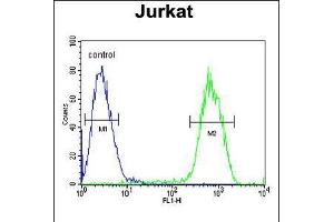 Flow cytometric analysis of Jurkat cells (right histogram) compared to a negative control cell (left histogram). (Protocadherin gamma Subfamily C, 3 (PCDHGC3) (AA 511-539) Antikörper)