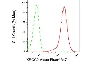 Flow cytometric analysis of XRCC2 expression in HepG2 cells using XRCC2 antibody (ABIN7800875), 1:2,000).