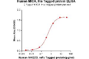ELISA plate pre-coated by 2 μg/mL (100 μL/well) Human BCMA, His tagged protein (ABIN6964102) can bind Human NKG2D, mFc tagged protein (ABIN6961134) in a linear range of 0. (MICA Protein (His tag))