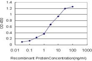 Detection limit for recombinant GST tagged IL8 is approximately 0. (IL-8 Antikörper  (AA 21-99))