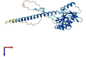 TSEN34 Protein (AA 1-316) (His tag)