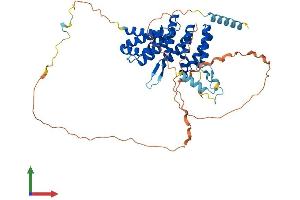 PAIP1 Protein (AA 1-479) (His tag)
