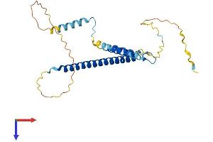 CCDC59 Protein (AA 1-241) (His tag)