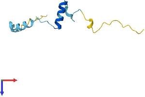 MUSTN1 Protein (AA 1-82) (Fc Tag)