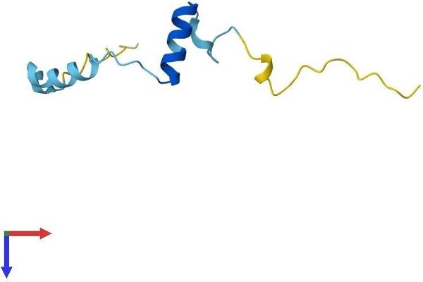 MUSTN1 Protein (AA 1-82) (Fc Tag)
