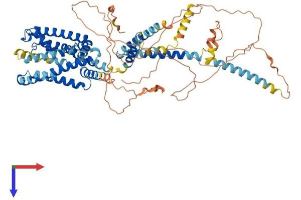 KCNQ4 Protein (AA 1-696) (His tag)