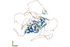 Protein Structure (PS) image for Jumonji, AT Rich Interactive Domain 2 (JARID2) (AA 1-1234) protein (His tag) (ABIN7563961)