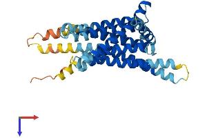 TAS2R40 Protein (AA 1-319) (His tag)