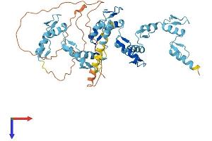 ZNF563 Protein (AA 1-476) (His tag)
