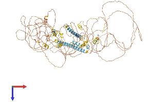 NRIP1 Protein (AA 1-1161) (His tag)