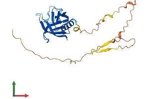 AlphaFold protein structure predicition of Human Recombinant PLEKHB2 Protein, UniprotID Q96CS7