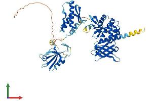 Protein Structure (PS) image for Sorting Nexin 27 (SNX27) (AA 1-541) protein (His tag) (ABIN7555542)