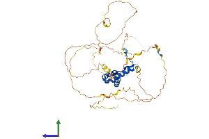 Protein Structure (PS) image for SRY (Sex Determining Region Y)-Box 17 (SOX17) (AA 1-419) protein (His tag) (ABIN7557710)