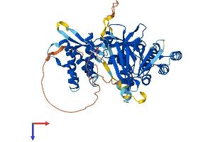 SNX17 Protein (AA 1-470) (His tag)