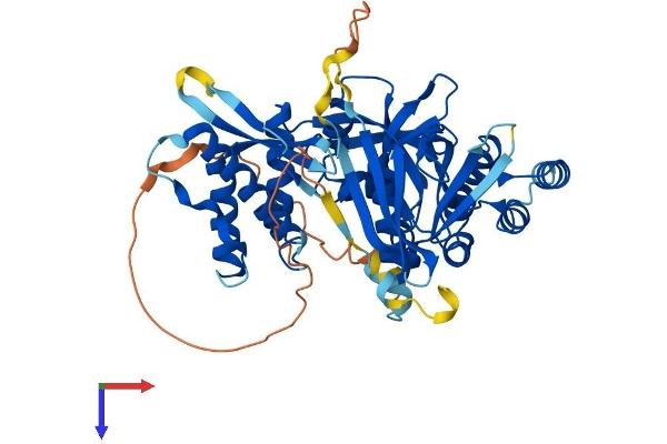 SNX17 Protein (AA 1-470) (His tag)