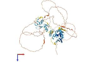 ZBTB44 Protein (AA 1-570) (His tag)