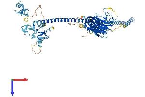 MID1 Protein (AA 1-680) (His tag)