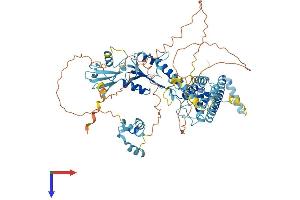 ANKZF1 Protein (AA 1-726) (His tag)