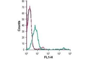 Cell surface detection of Zinc transporter ZIP8 in live intact human Jurkat T-cell leukemia cells: (black line) Cells. (SLC39A8 Antikörper  (Extracellular) (FITC))