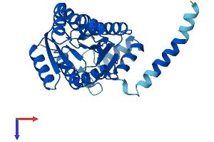 DHRS3 Protein (AA 1-302) (His tag)