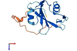 AlphaFold protein structure predicition of Mouse Recombinant Sh2d1b2 Protein, UniprotID Q45HK4