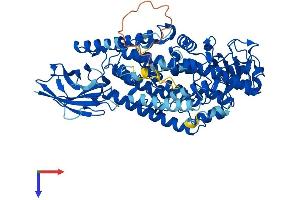 ALOXE3 Protein (AA 1-711) (His tag)