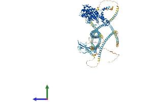 Protein Structure (PS) image for rho-Associated, Coiled-Coil Containing Protein Kinase 2 (ROCK2) (AA 1-1388) protein (His tag) (ABIN7563523)