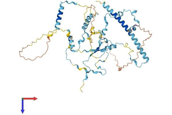 LTV1 Protein (AA 1-475) (His tag)