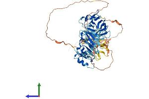 Protein Structure (PS) image for Neuralized E3 Ubiquitin Protein Ligase 1B (NEURL1B) (AA 1-546) protein (His tag) (ABIN7556939)