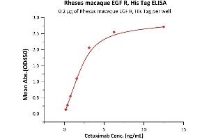 Immobilized Rhesus macaque EGF R, His Tag (ABIN2870844,ABIN2870845) at 2 μg/mL (100 μL/well) can bind Cetuximab with a linear range of 0.