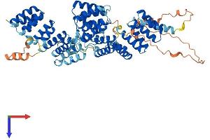 CDC16 Protein (AA 1-620) (His tag)