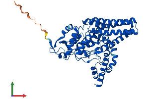 Protein Structure (PS) image for Fatty Acid Desaturase 1 (FADS1) (AA 1-444) protein (His tag) (ABIN7553872)