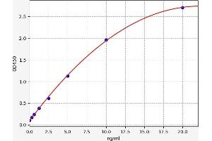 Typical standard curve (SREBF2 ELISA Kit)
