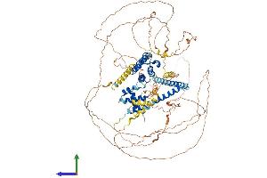 AlphaFold protein structure predicition of Mouse Recombinant Brd8 Protein, UniprotID Q8R3B7