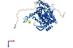 SPTLC2 Protein (AA 1-560) (His tag)