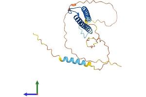 Protein Structure (PS) image for Myogenin (Myogenic Factor 4) (MYOG) (AA 1-224) protein (His tag) (ABIN7554657)