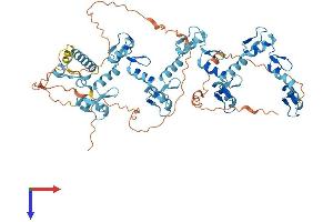 AlphaFold protein structure predicition of Human Recombinant ZNF805 Protein, UniprotID Q5CZA5 (ZNF805 Protein (AA 1-627) (His tag))