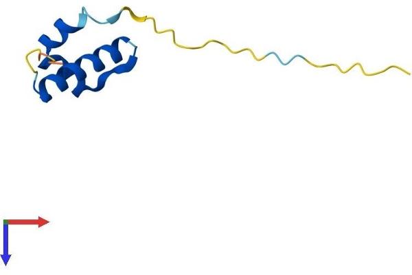 CTNNBIP1 Protein (AA 1-81) (Fc Tag)