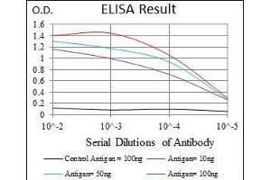 ELISA image for anti-BPI Fold Containing Family A, Member 2 (BPIFA2) antibody (ABIN969541)