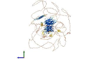 Protein Structure (PS) image for Partner and Localizer of BRCA2 (PALB2) (AA 1-1186) protein (His tag) (ABIN7554852)