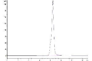 The purity of Mouse C-Reactive Protein/CRP is greater than 95 % as determined by SEC-HPLC. (CRP Protein (AA 20-225) (His tag))