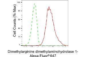 Flow cytometric analysis of Dimethylarginine dimethylaminohydrolase 1 expression in HT- cells using Dimethylarginine dimethylaminohydrolase 1 antibody (ABIN7798342), 1:2,000). (Rekombinanter DDAH1 Antikörper)