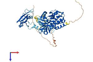 MATK Protein (AA 1-505) (His tag)
