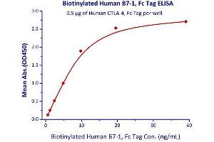 Immobilized Human CTLA-4, Fc Tag  with a linear range of 0.