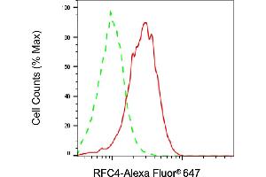 Flow cytometric analysis of RFC4 expression in HepG2 cells using RFC4 antibody (ABIN7800171), 1:2,000). (RFC4 Antikörper)