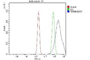 Flow Cytometry analysis of U20S cells using anti-PDE6 beta/PDE6B antibody (ABIN7600892). (PDE6B Antikörper  (AA 25-237))
