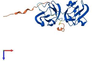 CRYBB3 Protein (AA 1-211) (His tag)